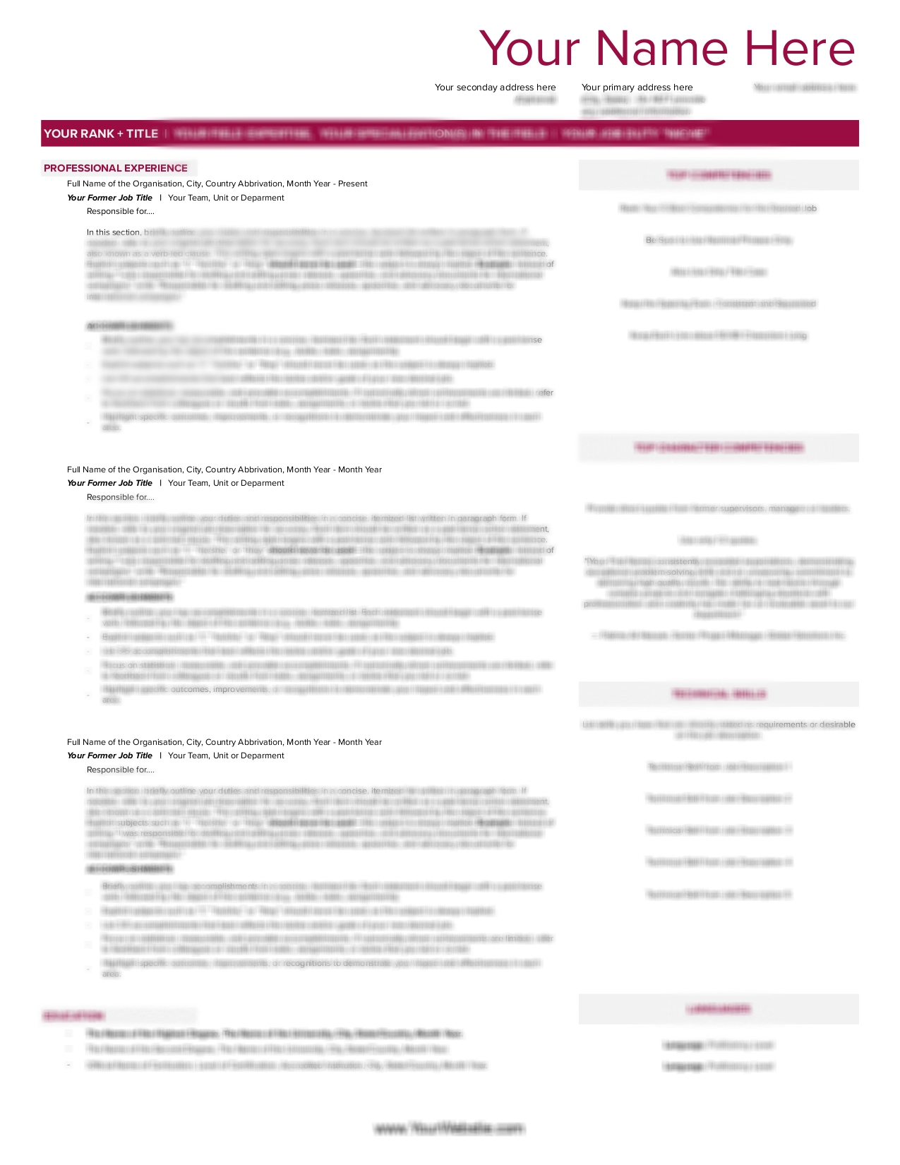 Resume / CV Template for Mid-level Career Professionals (Google Sheets)