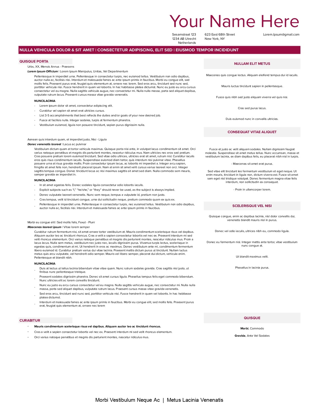 Resume / CV Template for Mid-level Career Professionals (Google Sheets)