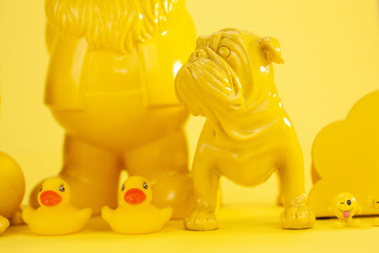 How to Handle Insecure Interviewers and Stay Confident